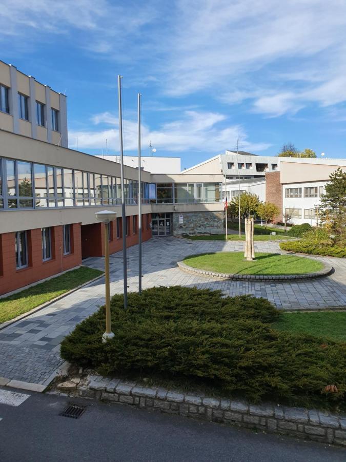 Apartmany U Lva Прахатіце Екстер'єр фото